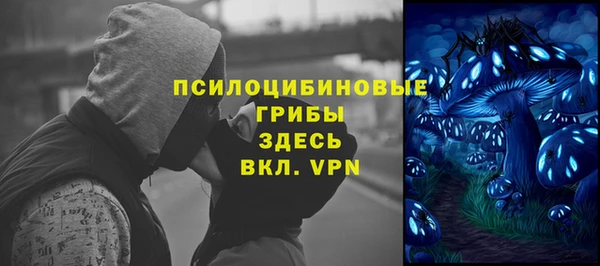 прущая мука Алзамай