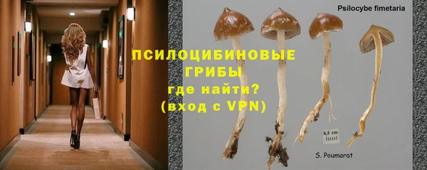 прущая мука Алзамай