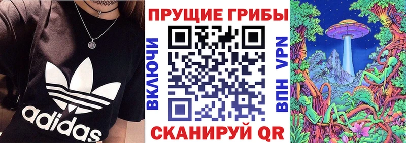 Псилоцибиновые грибы Psilocybe  купить  цена  Камешково 